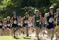 2008-09-06_11-46-40.jpg