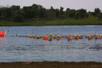 2008-08-02_07-51-55.jpg