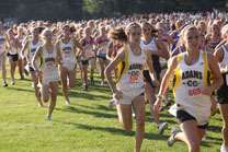 2009-09-03_17-57-51.jpg