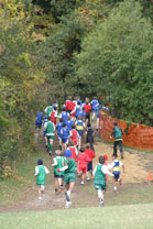 2009-10-17_11-10-48.jpg