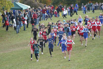 2009-10-17_10-40-11.jpg