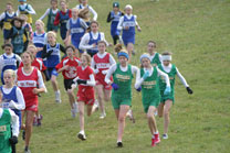 2009-10-17_10-40-17.jpg