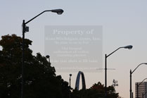 2009-10-18_08-06-24.jpg