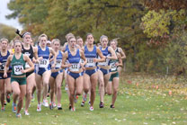 2009-10-24_11-01-27.jpg