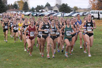 2009-10-24_11-03-16.jpg