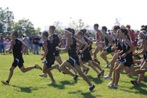 2009-09-05_10-45-28.jpg