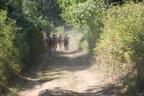 2009-09-05_10-50-25.jpg
