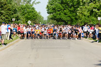 2009-05-25_09-03-09.jpg