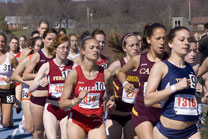 2009-04-24_16-28-26.jpg