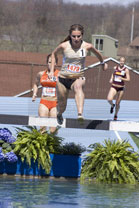 2009-04-24_15-15-28.jpg