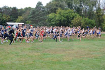LCC_Inv__IKE8445.jpg