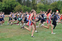 LCC_Inv__IKE8453.jpg
