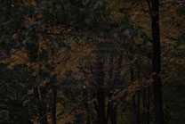 2009-10-17_12-15-02.jpg