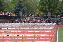 2009-05-30_13-29-03.jpg