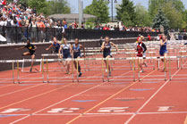 2009-05-30_13-29-15.jpg