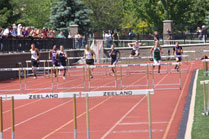 2009-05-30_15-50-35.jpg
