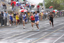 2009-05-15_18-42-36.jpg