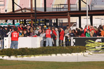 2009-11-07_15-11-38.jpg