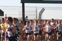 2009-11-07_15-00-01.jpg
