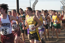 2009-11-07_15-00-08.jpg