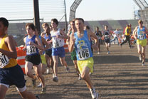 2009-11-07_15-00-13.jpg