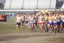 2009-11-07_16-00-27.jpg