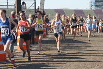 2009-11-07_14-00-03.jpg