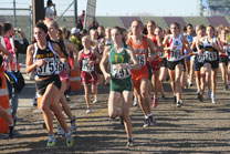 2009-11-07_14-00-13.jpg