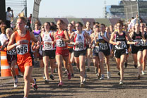 2009-11-07_14-00-14.jpg