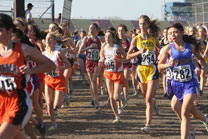 2009-11-07_14-00-22.jpg