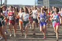 2009-11-07_14-00-23.jpg