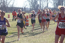 2009-11-07_14-08-04.jpg