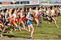 2009-11-07_13-57-44.jpg