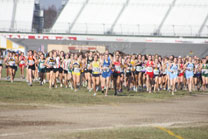 2009-11-07_15-00-20.jpg