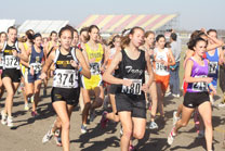 2009-11-07_15-00-50.jpg