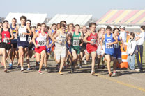 2009-11-07_15-30-40.jpg