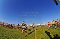 2009-11-07_13-29-21.jpg