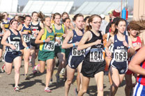 2009-11-07_14-31-14.jpg