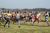 2009-11-07_11-28-52.jpg