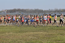 2009-11-07_10-01-41.jpg