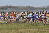 2009-11-07_10-01-43.jpg