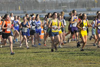 2009-11-07_10-01-51.jpg