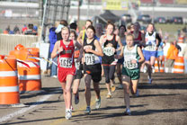 2009-11-07_11-02-30.jpg