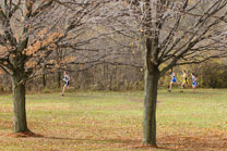 2009-10-31_11-45-24.jpg
