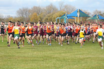2009-10-31_11-39-40.jpg