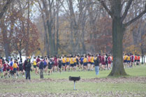 2009-10-31_11-40-32.jpg