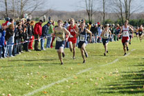 2009-10-31_13-05-26.jpg