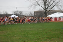 2009-11-21_11-58-56.jpg