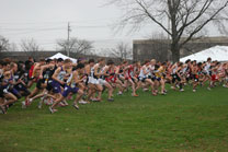 2009-11-21_11-58-59.jpg