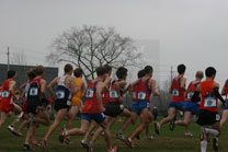 2009-11-21_11-59-05.jpg